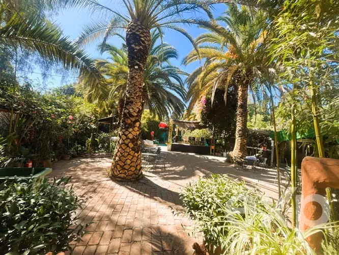 Local Comercial en Venta en Buín