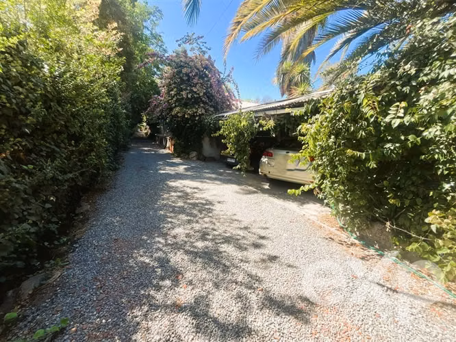 Local Comercial en Venta en Buín