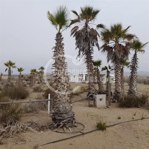 Parcela en venta en Coquimbo