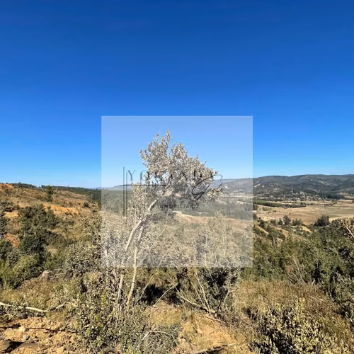 Vista Panorámica al Lago Vichuquén -Parcela (171951) - Imagen 15