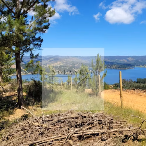 Vista Panorámica al Lago Vichuquén -Parcela (171951) - Imagen 21