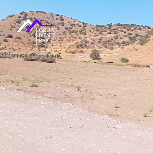 Oportunidad de Inversión en Bodega Moderna (171953)