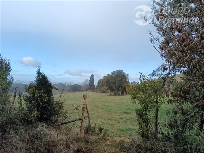 2 PARCELAS EN LLAU LLAO - CASTRO