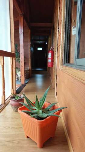 Casa grande para Oficina, Centro Puerto Aysen (82371)
