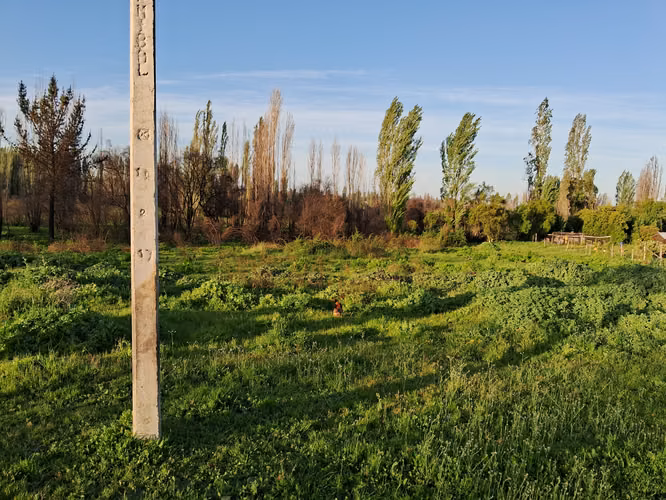 Excelente parcela camino Paso Hondo- Yumbel