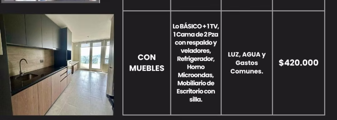 ARRIENDO AMOBLADO $420.000