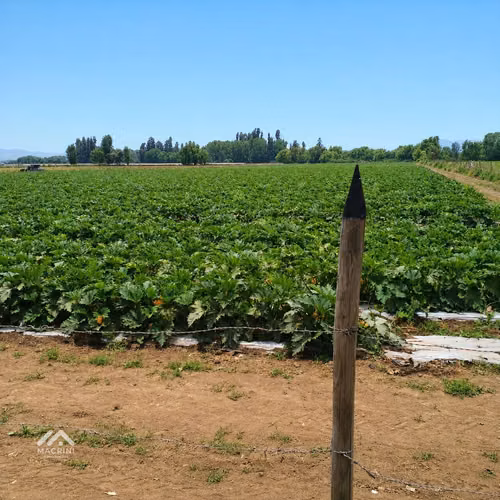 Atención Inversionistas: se vende terreno orilla camino pavimentado