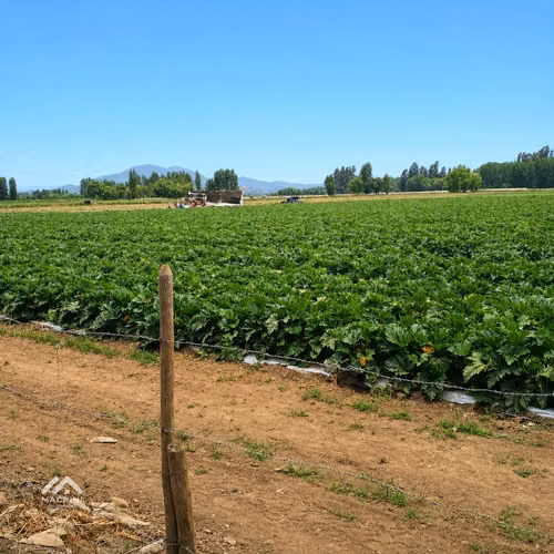 Atención Inversionistas: se vende terreno orilla camino pavimentado
