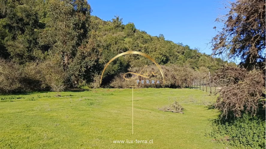 Naturaleza | Tranquilidad | Casablanca