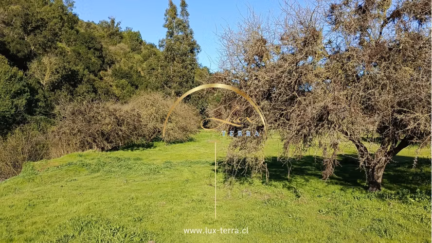 Naturaleza | Tranquilidad | Casablanca