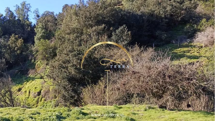 Naturaleza | Tranquilidad | Casablanca