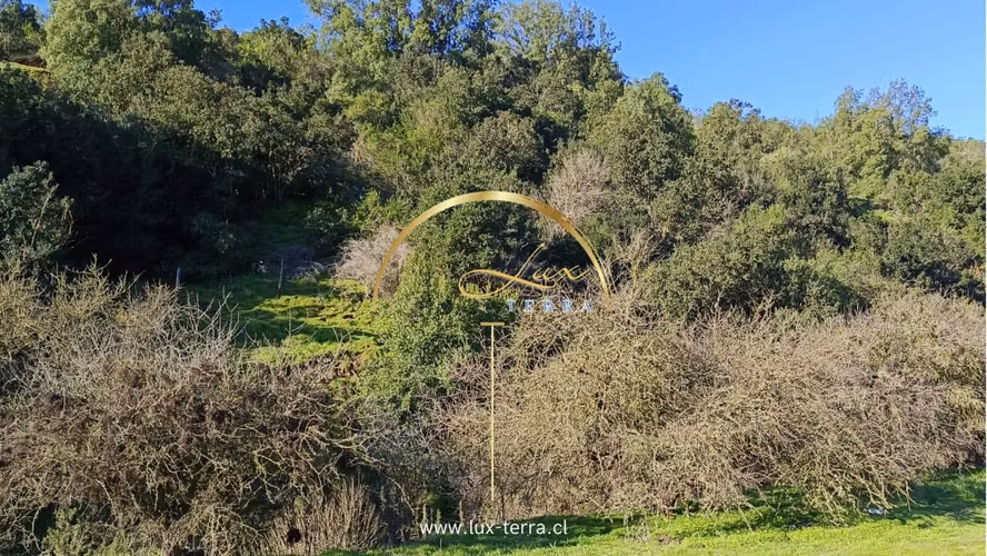 Naturaleza | Tranquilidad | Casablanca