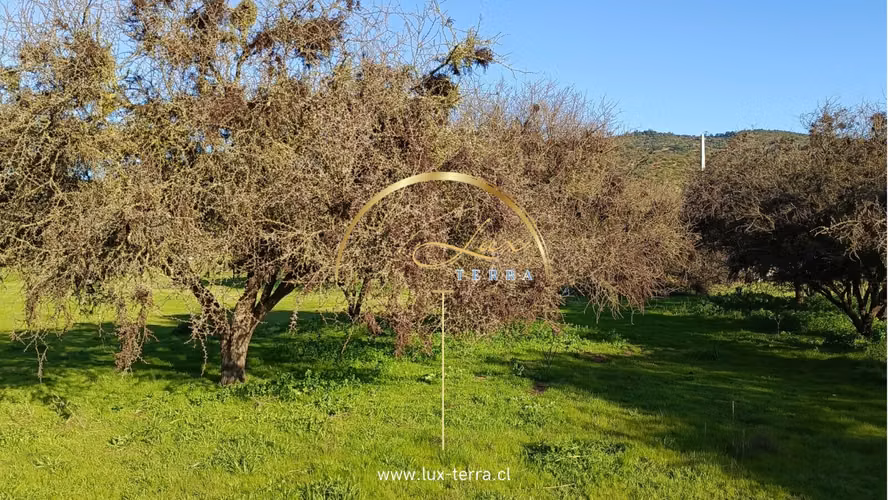 Naturaleza | Tranquilidad | Casablanca