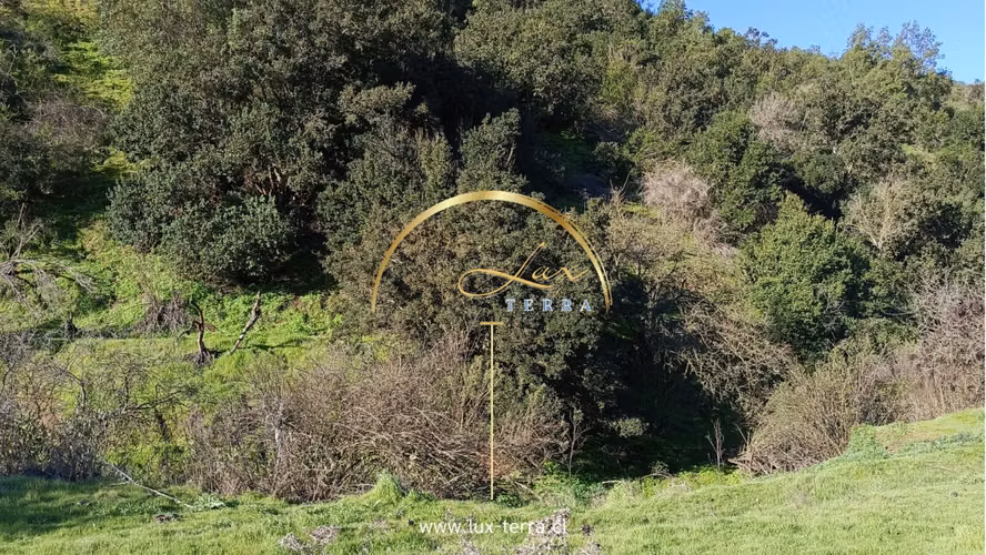 Naturaleza | Tranquilidad | Casablanca