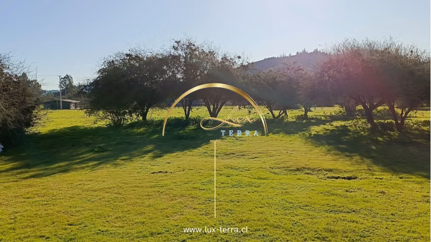 Naturaleza | Tranquilidad | Casablanca