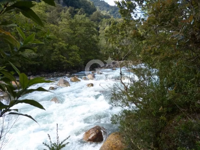 Paraíso Natural en Río Puelo: 19.6 há con borde rio - Imagen 11