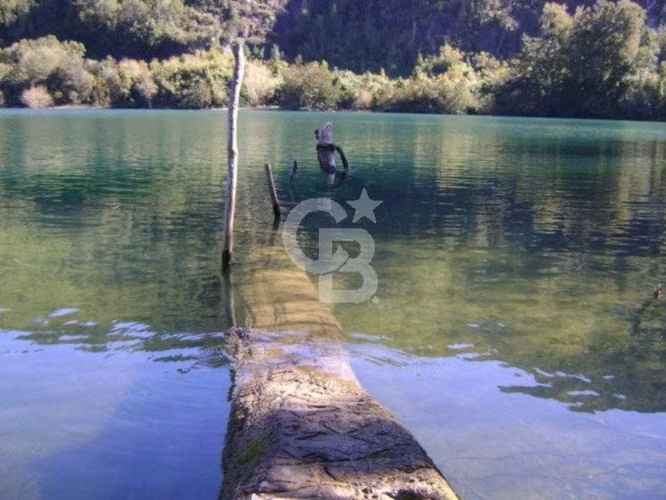 Paraíso Natural en Río Puelo: 19.6 há con borde rio - Imagen 6