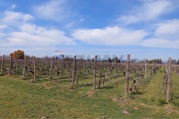 Parcela única en el corazón del valle de colchagua