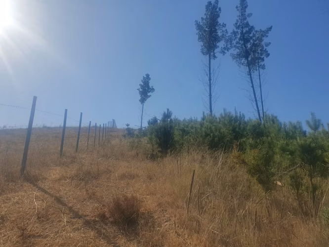 PARCELA EN CONDOMINIO PAREDONES - Imagen 11