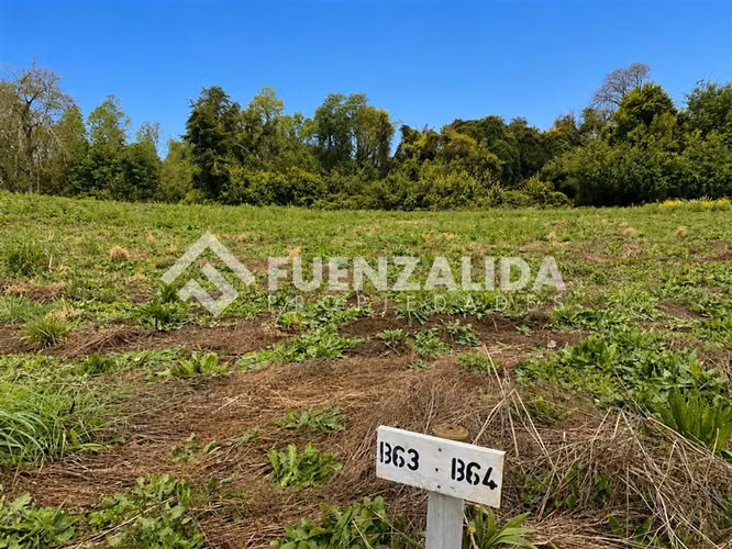 Parcela con pradera y bosque nativo a 25 min de Frutillar