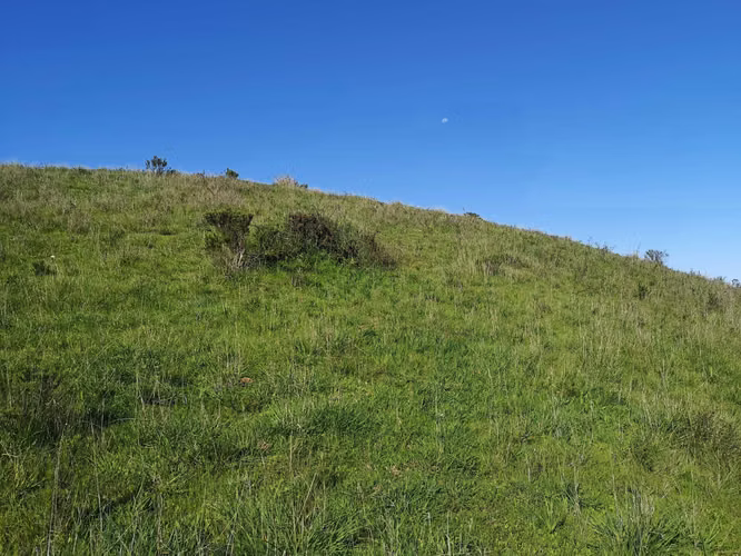 Insuperable, Parcela de 5.000 mts en venta (172255)