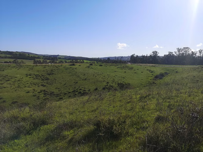 Insuperable, Parcela de 5.000 mts en venta (172255)