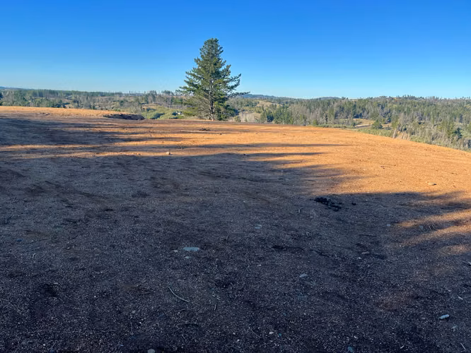 PARCELA DE 5.000 m² EN QUILLÓN – OPORTUNIDAD DE INVERSIÓN