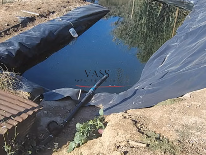 VASS Vende Terreno Agrícola Plantación activa de Paltos Hass