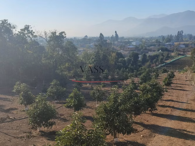 VASS Vende Terreno Agrícola Plantación activa de Paltos Hass