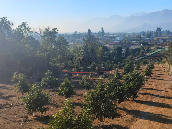 VASS Vende Terreno Agrícola Plantación activa de Paltos Hass