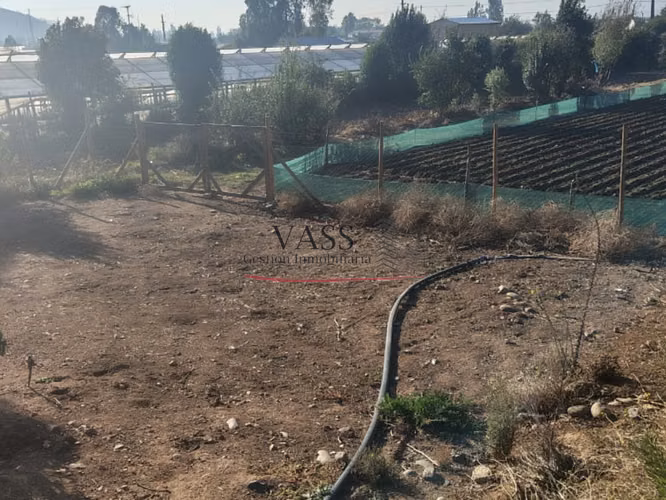 VASS Vende Terreno Agrícola Plantación activa de Paltos Hass