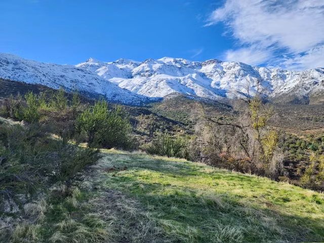 PARCELA-FUNDO SAN FRANCISCO DE LOS ANDES