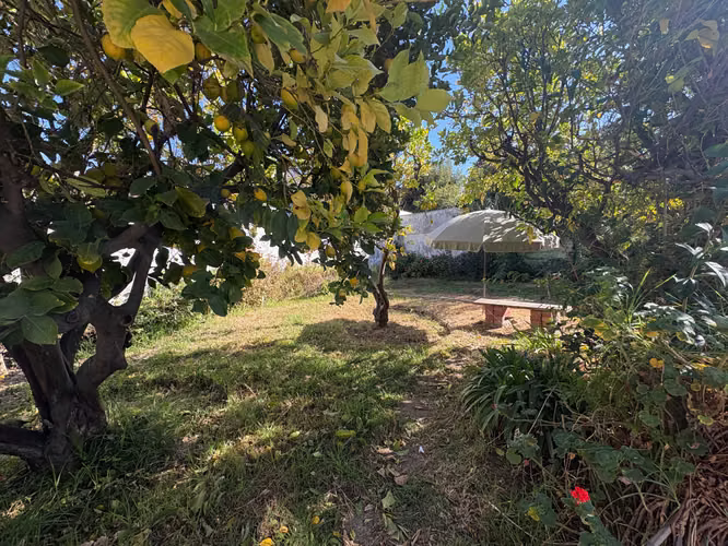 Venta de casa ideal para empresa constructora (172301) - Imagen 17