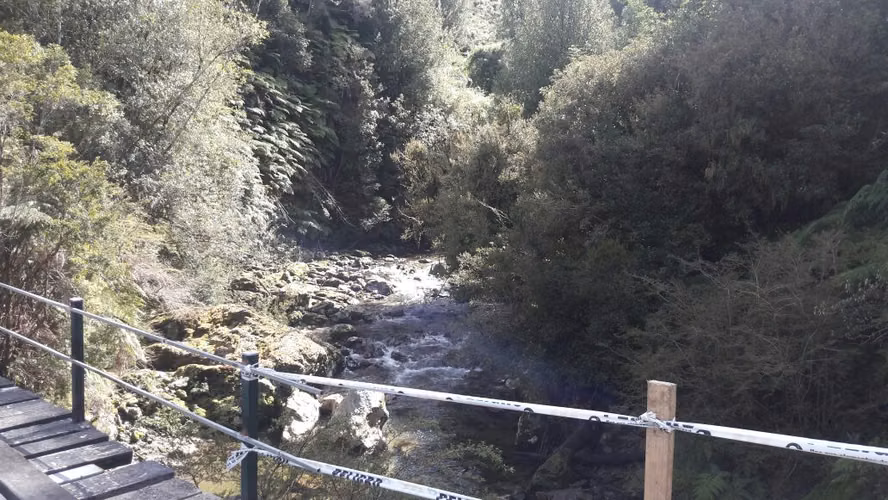 VENTA DE CAMPO EN CHILOÉ – 435 HECTÁREAS