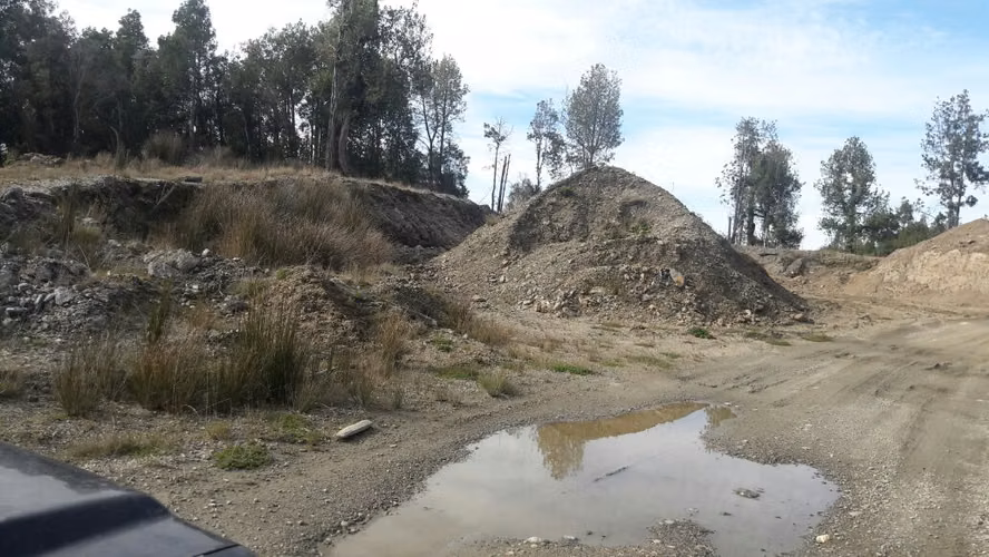 VENTA DE CAMPO EN CHILOÉ – 435 HECTÁREAS
