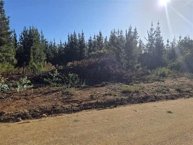 Parcelas 15 minutos de Pichilemu, urbanizadas