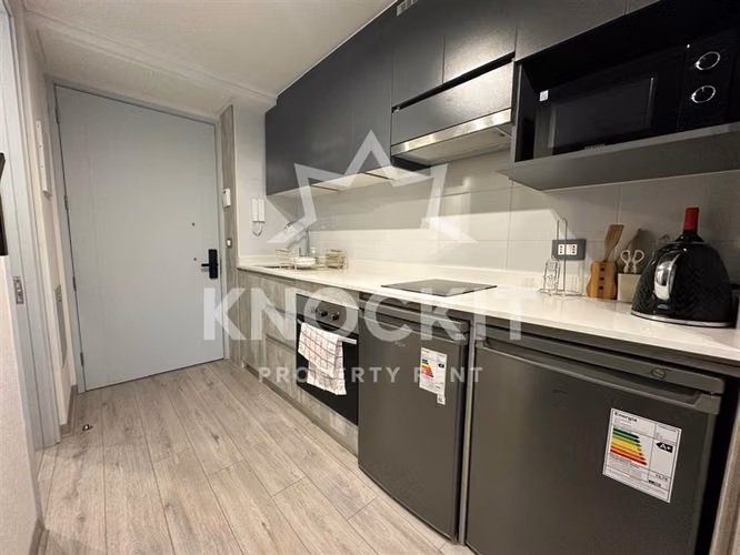 Arriendo Departamento Home Studio Amoblado Tocornal Santiago