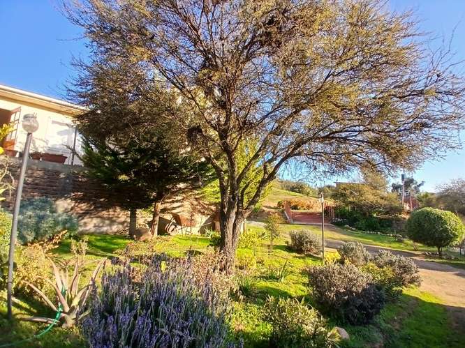 Parcela con amplia Casa Piscina Árboles Frutales