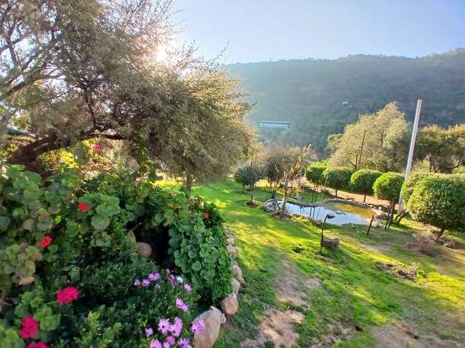 Parcela con amplia Casa Piscina Árboles Frutales