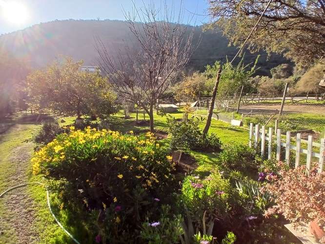 Parcela con amplia Casa Piscina Árboles Frutales