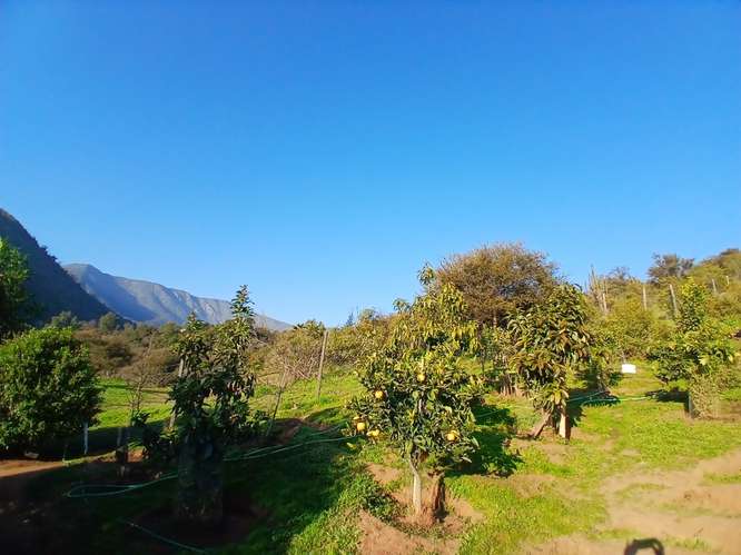 Parcela con amplia Casa Piscina Árboles Frutales