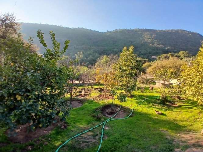 Parcela con amplia Casa Piscina Árboles Frutales