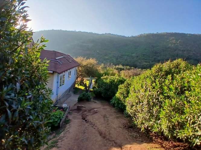 Parcela con amplia Casa Piscina Árboles Frutales