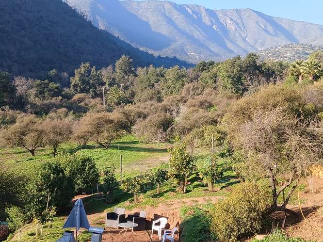 Parcela con amplia Casa Piscina Árboles Frutales