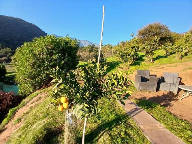 Parcela con amplia Casa Piscina Árboles Frutales