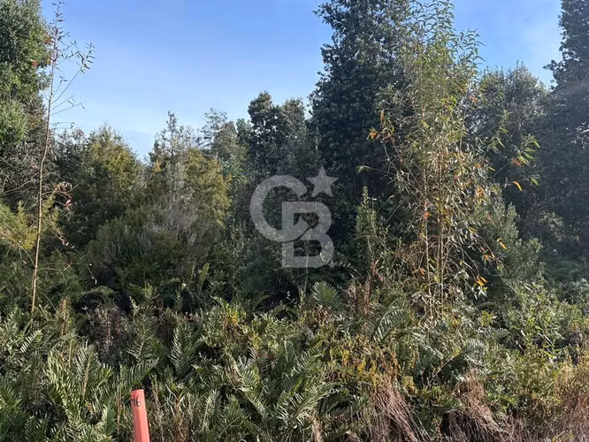 Hermosa Parcela Cercana al Aeropuerto El Tepual