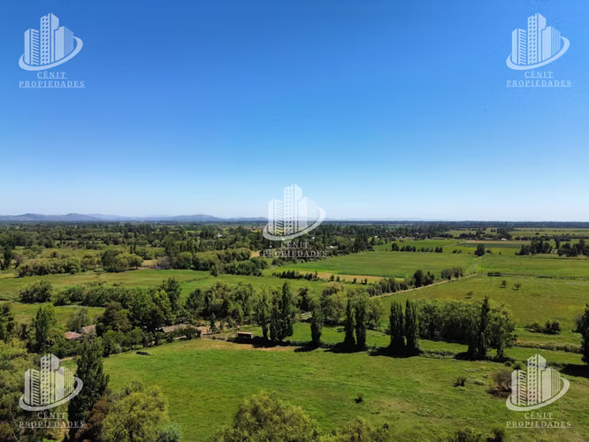 TERRENO EN VENTA VILLA ALEGRE (11,7 HAS), 25 MIN DE TALCA