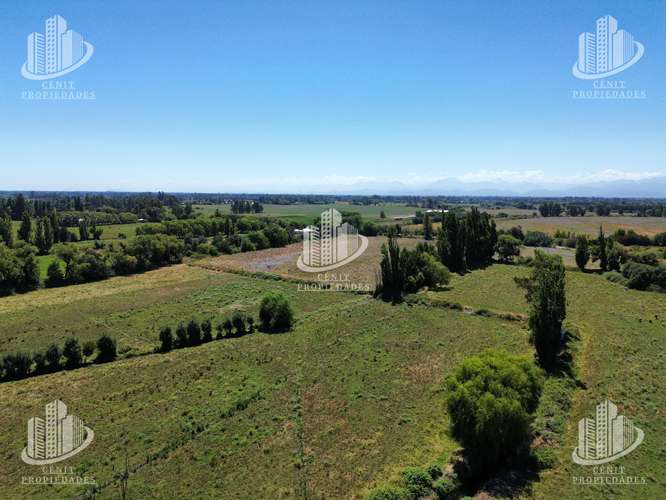 VENTA DE TERRENO VILLA ALEGRE (11,7 HAS), 25 MIN DE TALCA - Imagen 7