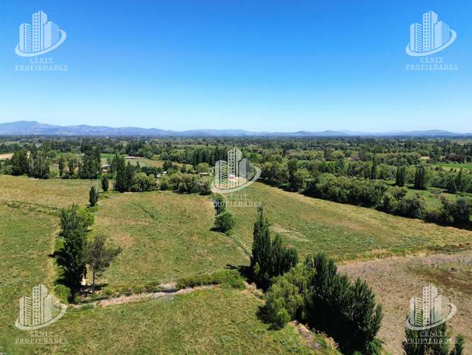 VENTA DE TERRENO VILLA ALEGRE (11,7 HAS), 25 MIN DE TALCA - Imagen 10