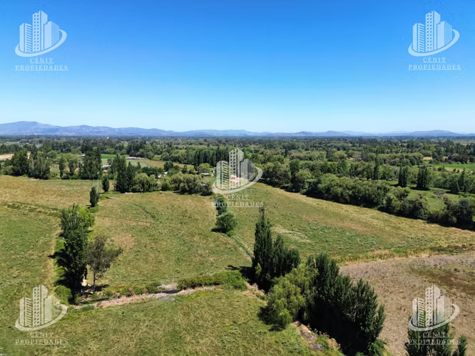 TERRENO EN VENTA VILLA ALEGRE (11,7 HAS), 25 MIN DE TALCA
